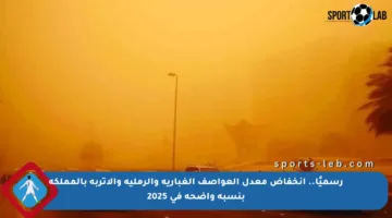 رسميًا.. انخفاض معدل العواصف الغبارية والرملية والأتربة بالمملكة بنسبة واضحة في 2025
